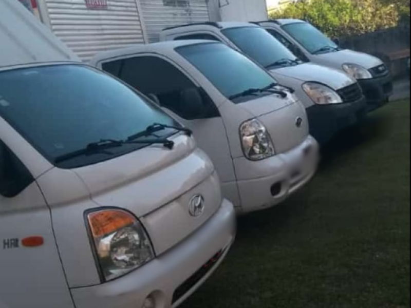 caminhoes pequenos.fw